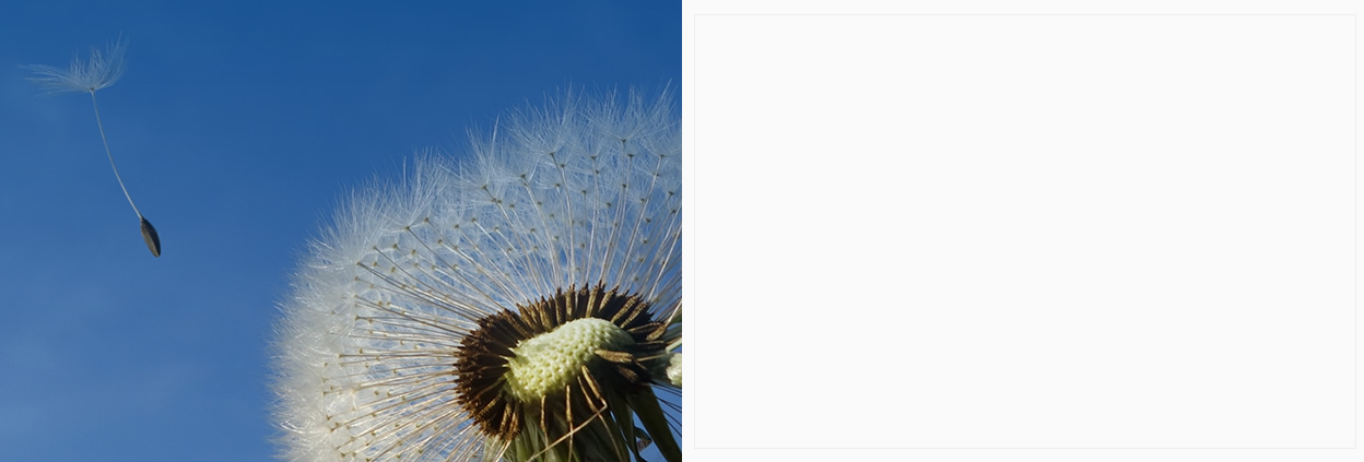 组 22.png